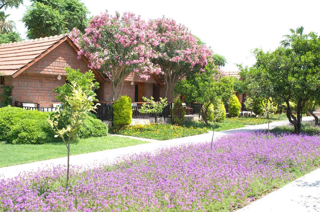 Resort Garden